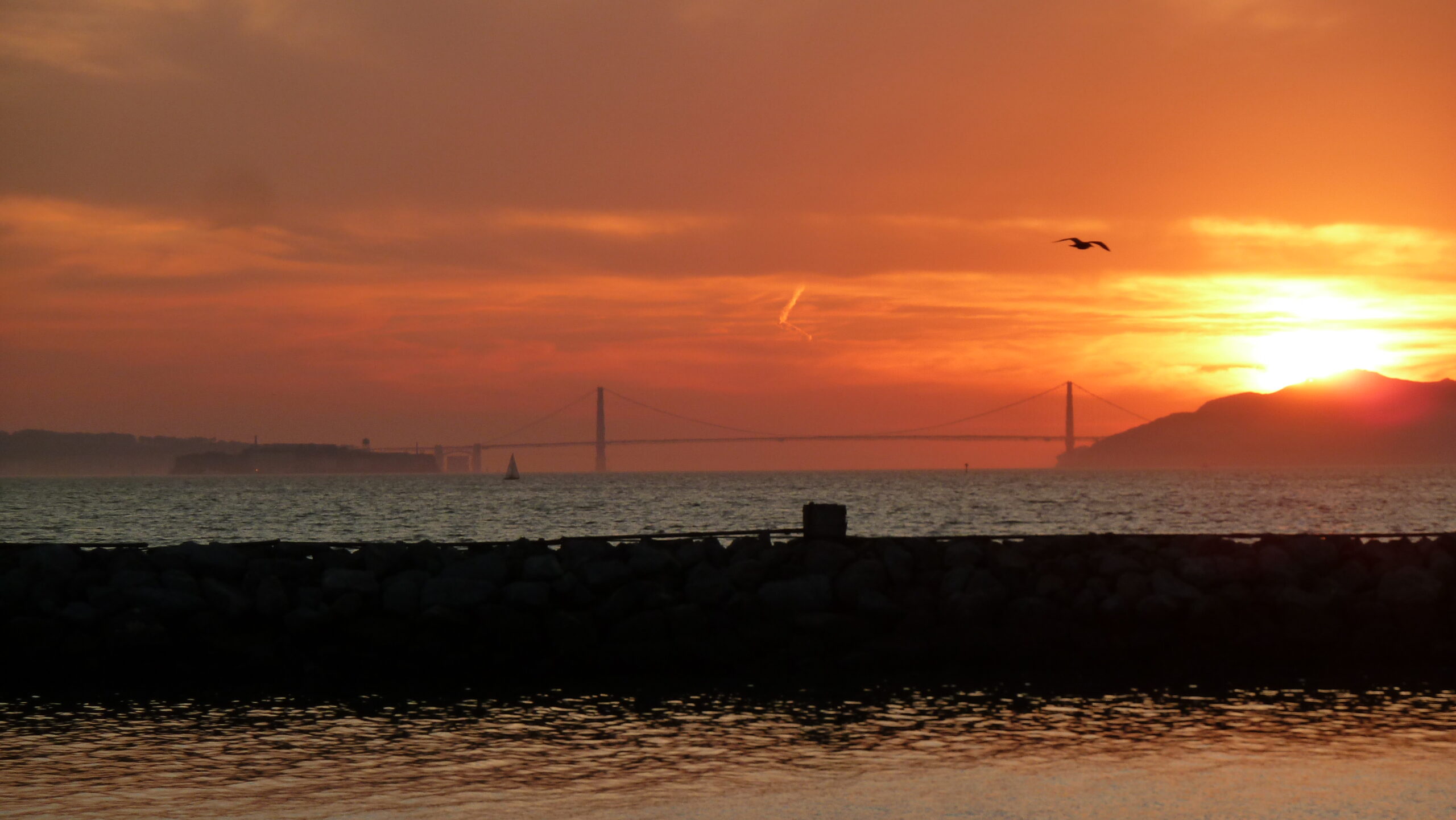 Berkeley Marina